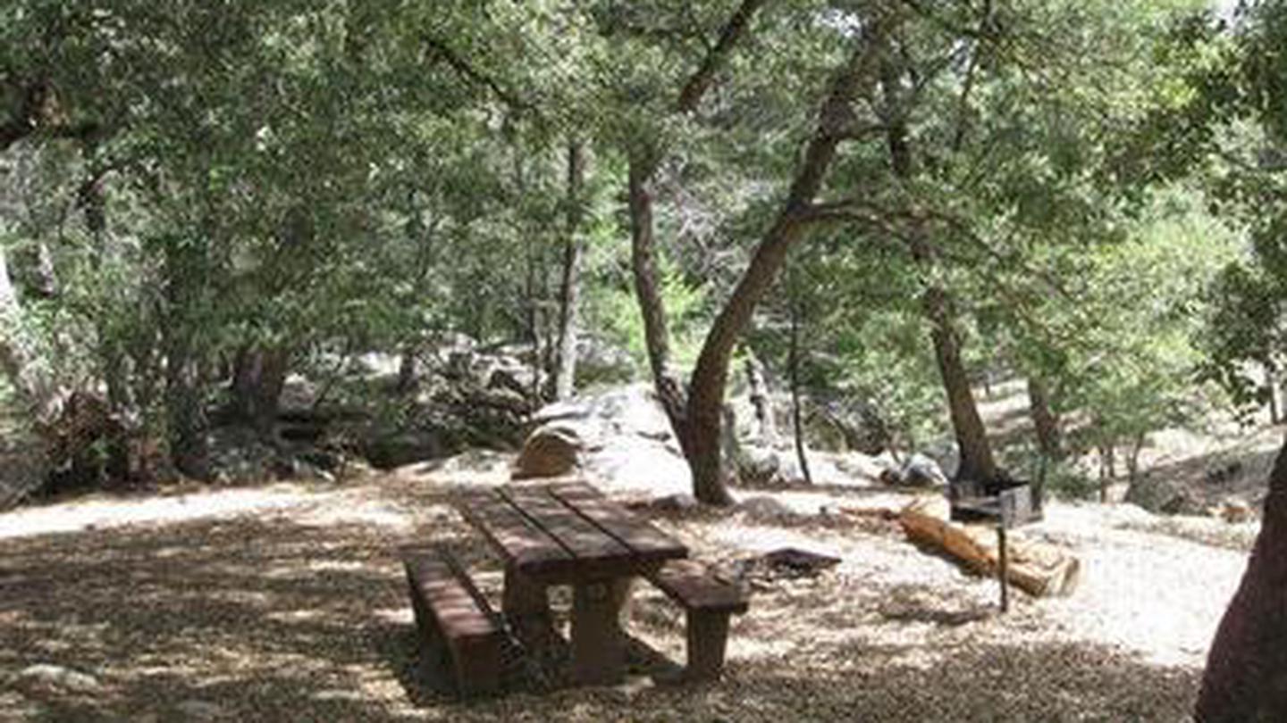 Fry Creek campsite