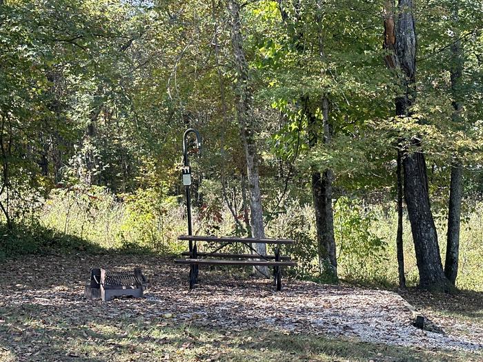 A photo of Site 011 of Loop Sites 1-12 at TWO RIVERS with Picnic Table, Fire Pit, Lantern Pole