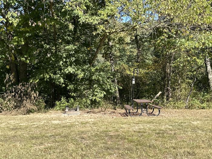 A photo of Site 016 of Loop Sites 13-19 at TWO RIVERS with Picnic Table, Fire Pit, Lantern Pole