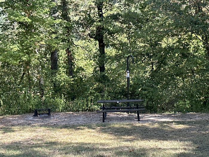 A photo of Site 018 of Loop Sites 13-19 at TWO RIVERS with Picnic Table, Fire Pit, Lantern Pole