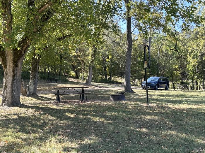 A photo of Site 003 of Loop Sites 1-12 at TWO RIVERS with Picnic Table, Fire Pit, Lantern Pole