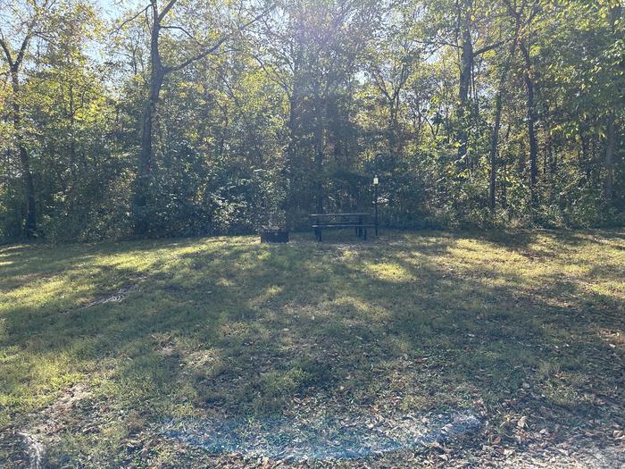 A photo of Site 009 of Loop Sites 1-12 at TWO RIVERS with Picnic Table, Fire Pit, Lantern Pole