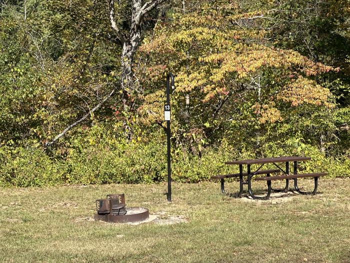 A photo of Site 013 of Loop Sites 13-19 at TWO RIVERS with Picnic Table, Fire Pit, Lantern Pole