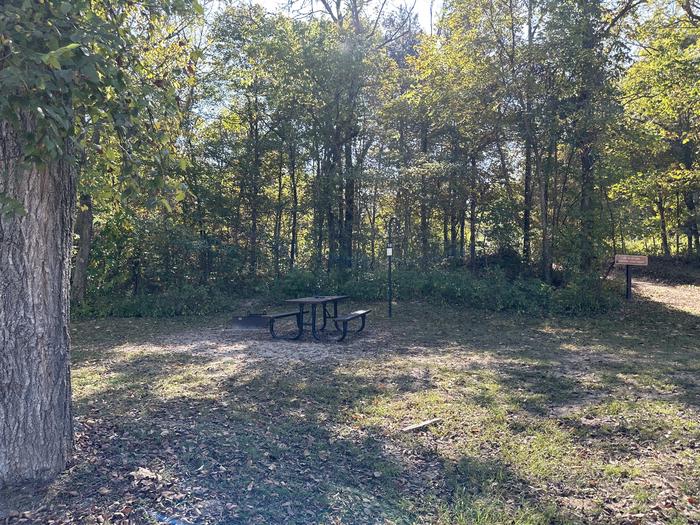 A photo of Site 010 of Loop Sites 1-12 at TWO RIVERS with Picnic Table, Fire Pit, Lantern Pole
