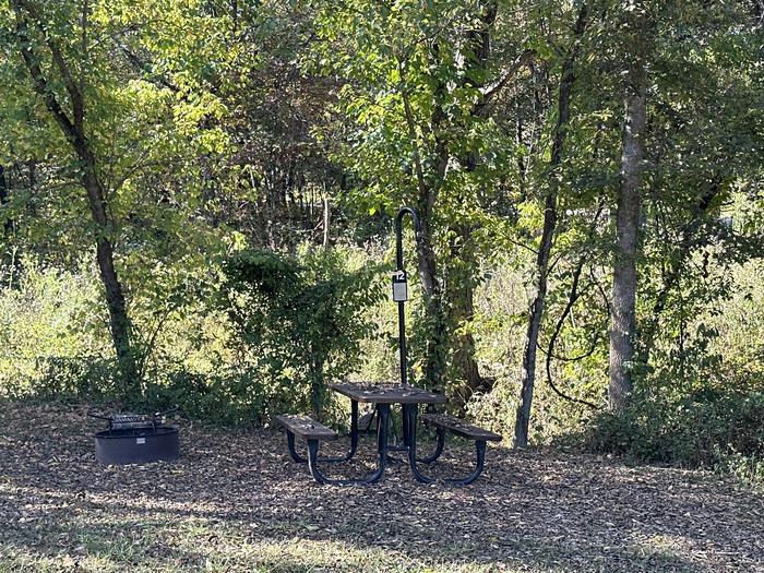 A photo of Site 012 of Loop Sites 1-12 at TWO RIVERS with Picnic Table, Fire Pit, Lantern Pole