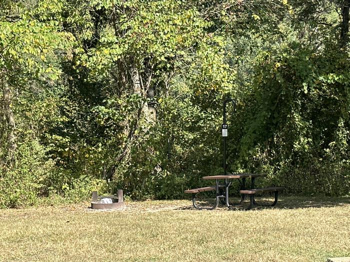 A photo of Site 017 of Loop Sites 13-19 at TWO RIVERS with Picnic Table, Fire Pit, Lantern Pole