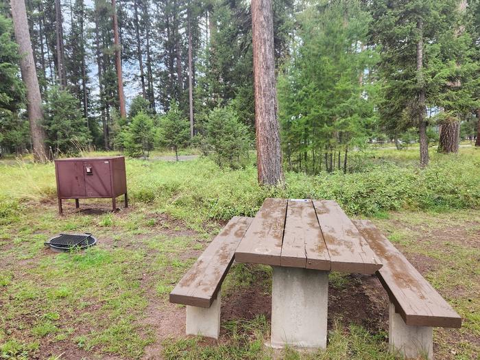 A photo of Big Larch Bike Site 3 (BLBS3) in Loop 1 at Big Larch Campground with a picnic table, campfire ring, and food storage locker. 