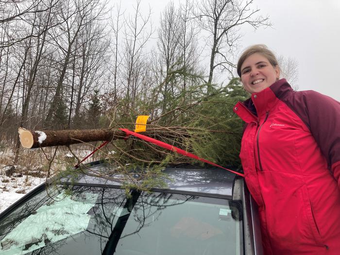 A tree is strapped to the roof of a car. A smiling person looks at the camera and leans sideways next to the car. When harvesting your Christmas tree, plan ahead for how you will transport it home. Make sure you have enough rope and choose a tree that will fit on or in your vehicle. Keep your permit with the tree. 