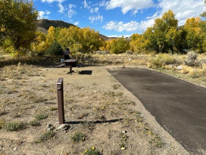Campsite 4: driveway, picnic table, and firepit. Set in sagebrush and trees.