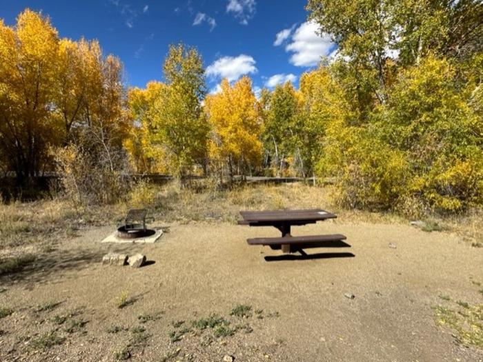 Campsite 12: pull-through driveway, picnic table, and firepit. Set in sagebrush and trees.