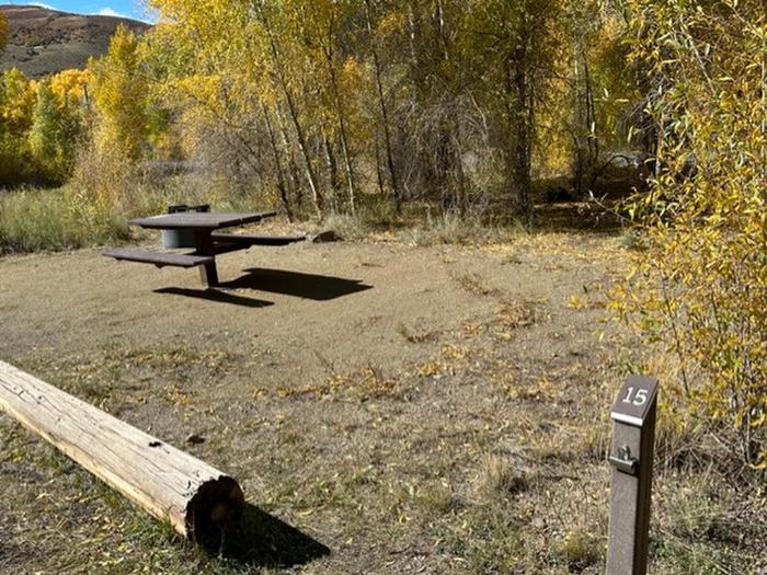 Campsite 15: pull-through driveway, picnic table, and firepit. Set in sagebrush and trees.