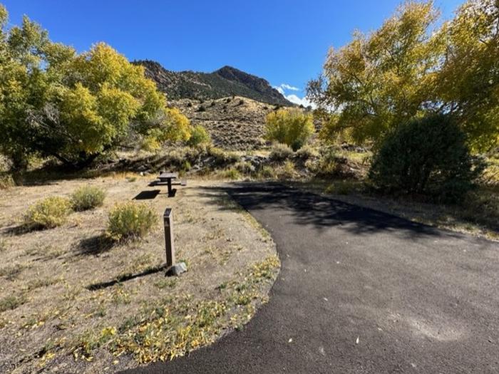 Campsite 20: pull-through driveway, picnic table, and firepit. Set in sagebrush and trees.