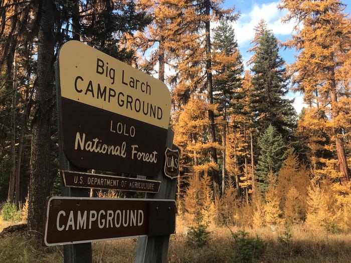Big Larch Campground Entrance Sign. Western Larch trees displaying fall colors can be seen in the background. 
