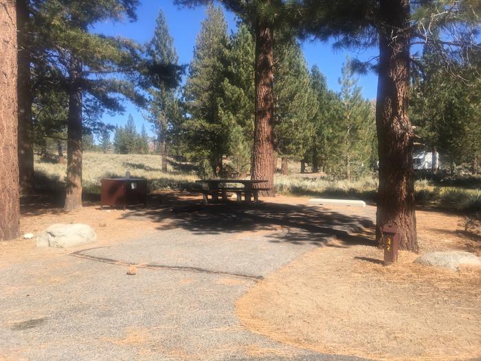 A photo of Site 032 of Loop ROBI at ROBINSON CREEK NORTH with Picnic Table, Fire Pit, Shade, Food Storage, Tent Pad