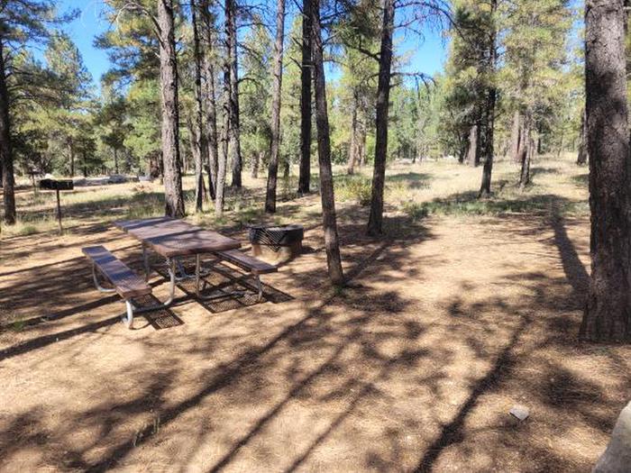 A photo of Site S01 of Loop Squirrel Loop at TEN-X CAMPGROUND