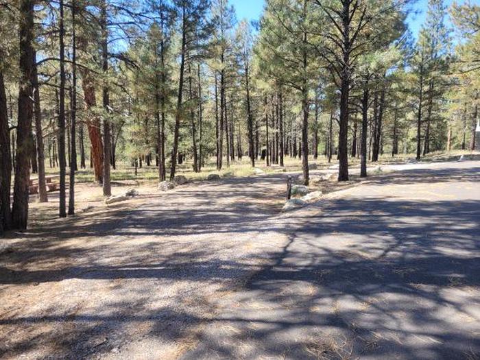 A photo of Site S02 of Loop Squirrel Loop at TEN-X CAMPGROUND
