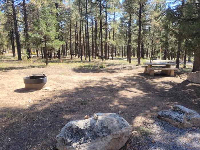 A photo of Site S03 of Loop Squirrel Loop at TEN-X CAMPGROUND