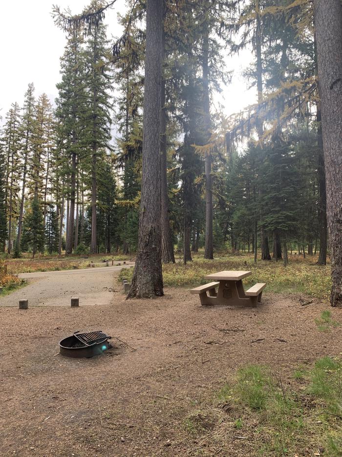 A photo of Site SLS19 in Loop 2 at Seeley Lake Lolo Campground (MT) with Picnic Table, campfire ring.