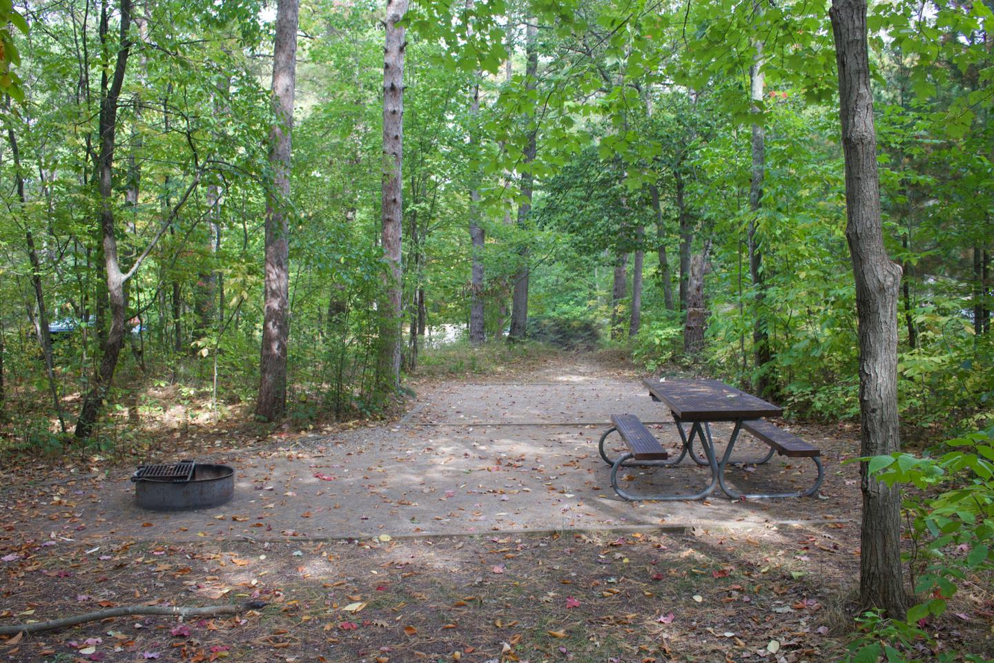 Campsite #11, view from the site toward the tent pad