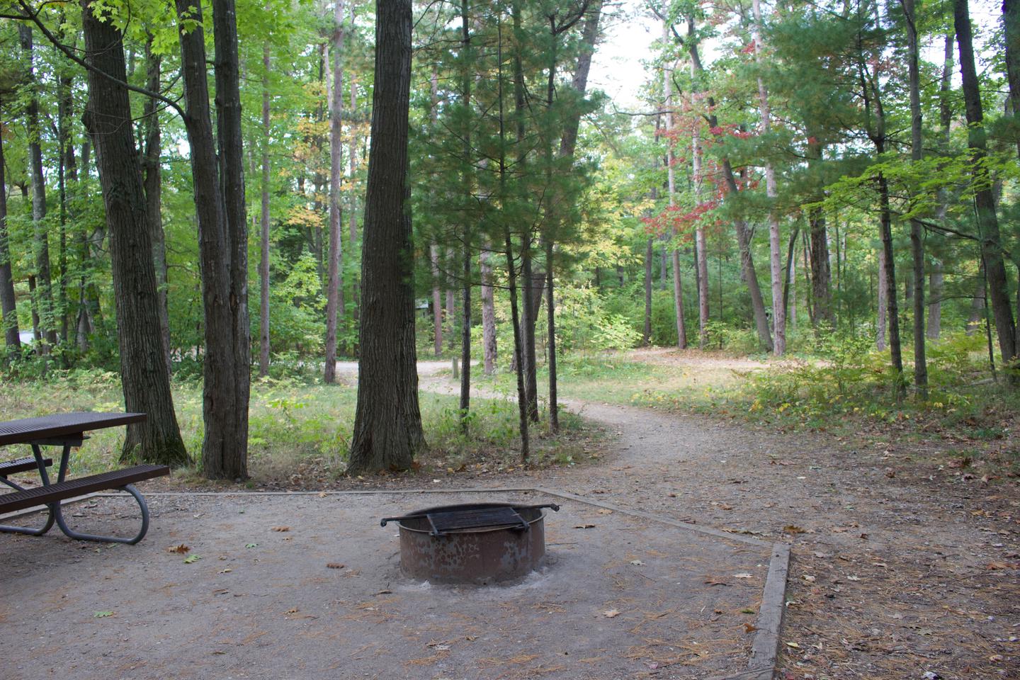Campsite #18, view from the site toward the road