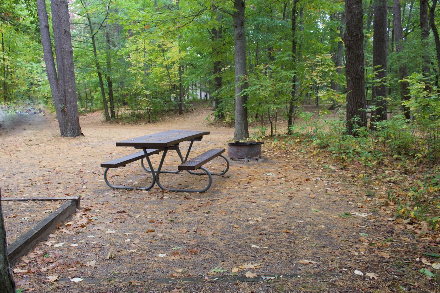 Campsite #2, view from the site toward the road