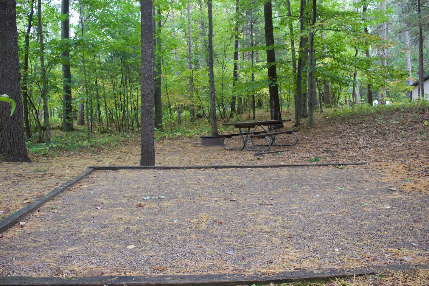 Campsite #6, view of the site from the tent pad