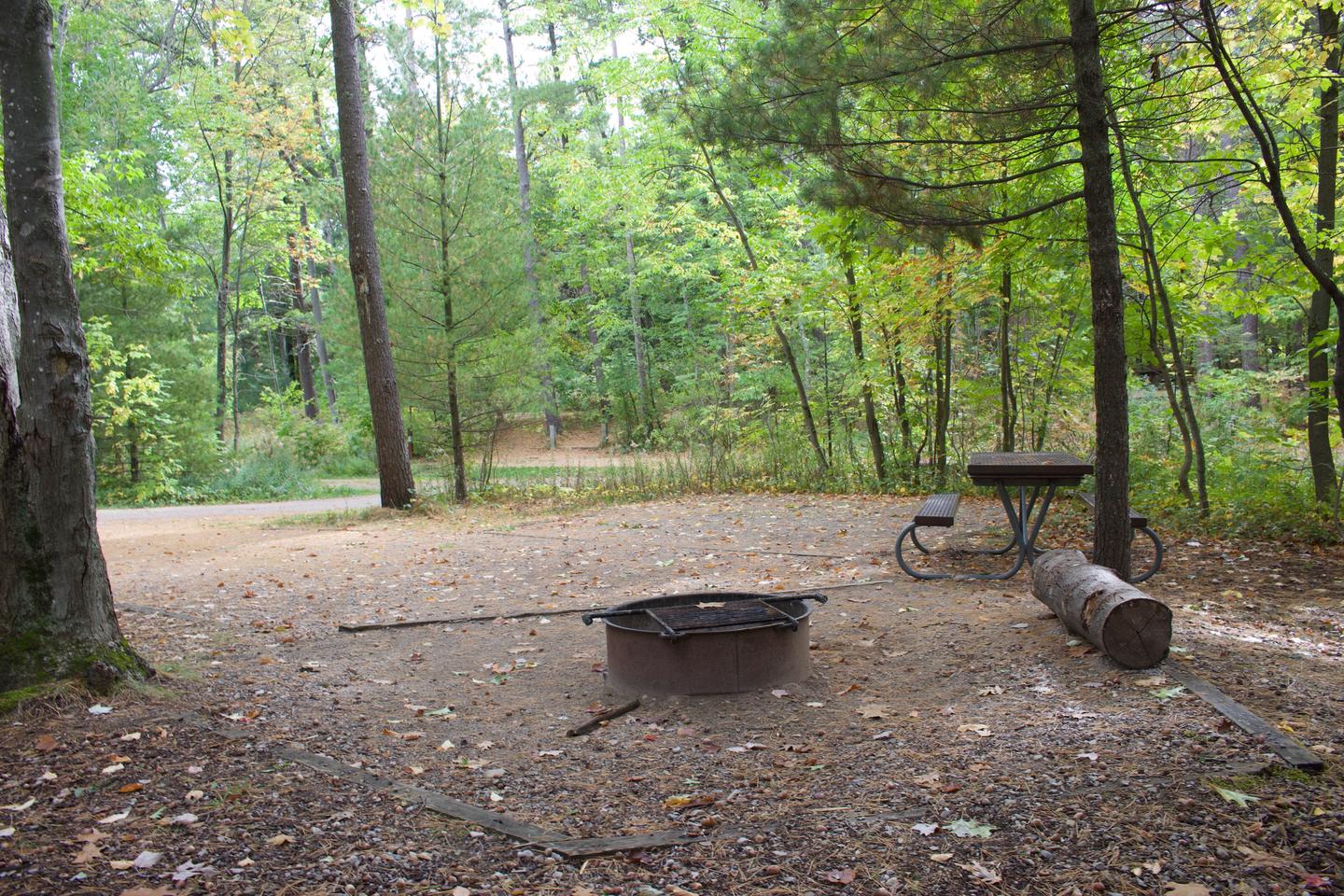 Campsite #14, view from the site toward the road