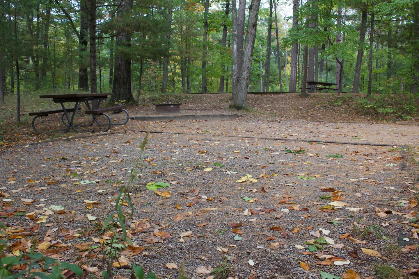 Campsite #14, view from the tent pad toward the site