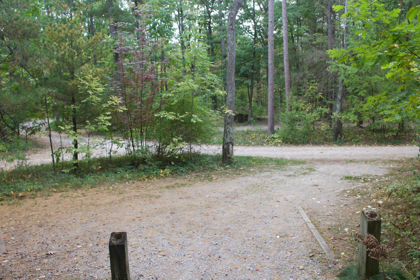 Campsite #22, view from the walk-up to the parking