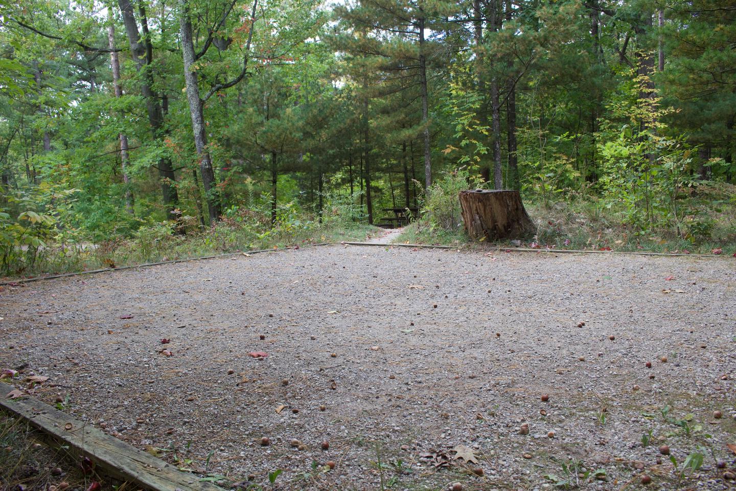 Campsite #22, view from the tent pad toward the site