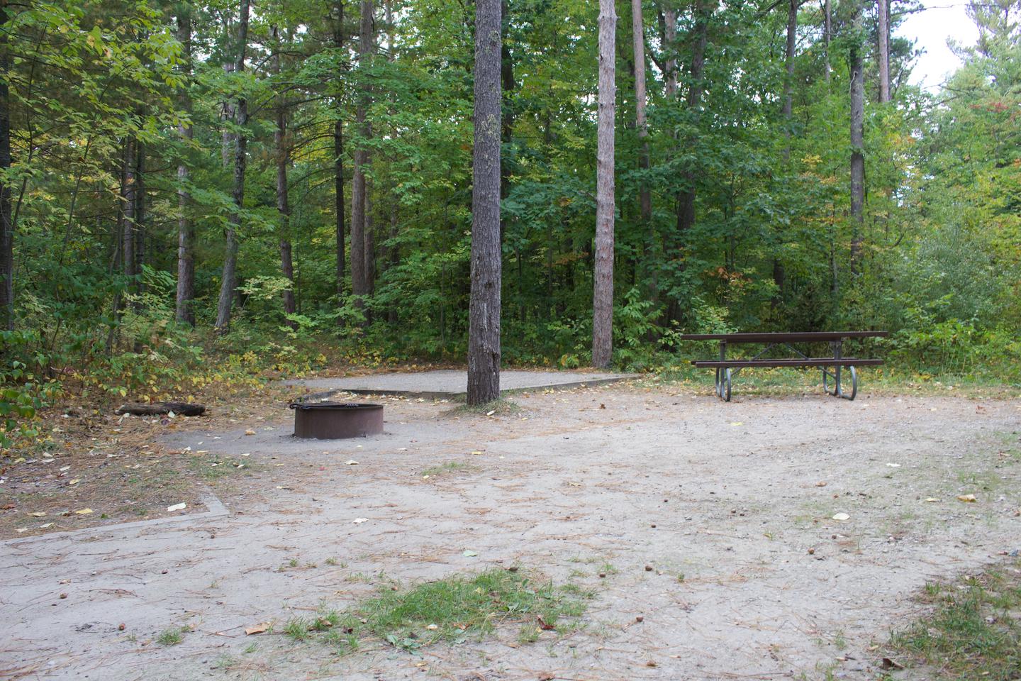 Campsite #36, view of the site from parking