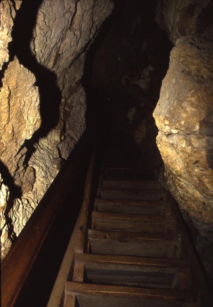 A wooden ladder leading down a cave tunnelThe Historic Lantern Tour Route involves around 500 ladder-like stair steps.