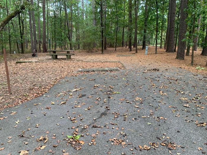 This site has a picnic table and fire pit located on the left side of the pad with hookups located on the right. There are a lot of trees to provide shade.This site has a picnic table and fire pit located on the left side of the pad with hookups located on the right. There are a lot of trees to provide shade.The picnic table is on top a concrete pad. 