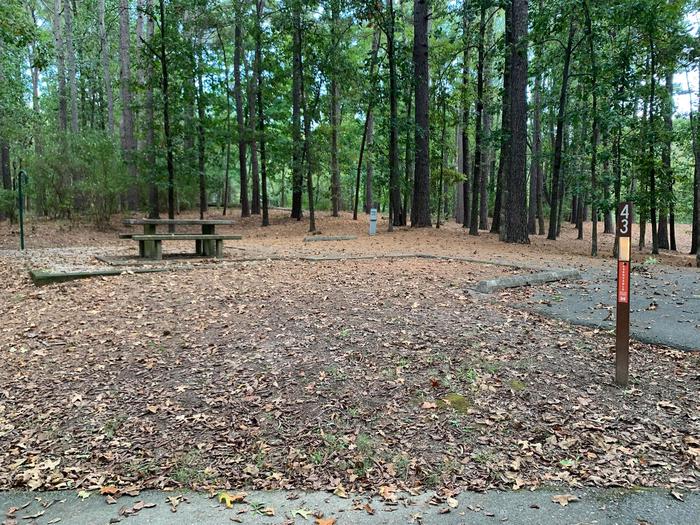 This site has a picnic table and fire pit located on the left side of the pad with hookups located on the right. There are a lot of trees to provide shade.This site has a picnic table and fire pit located on the left side of the pad with hookups located on the right. There are a lot of trees to provide shade. The picnic table is on top a concrete pad. 