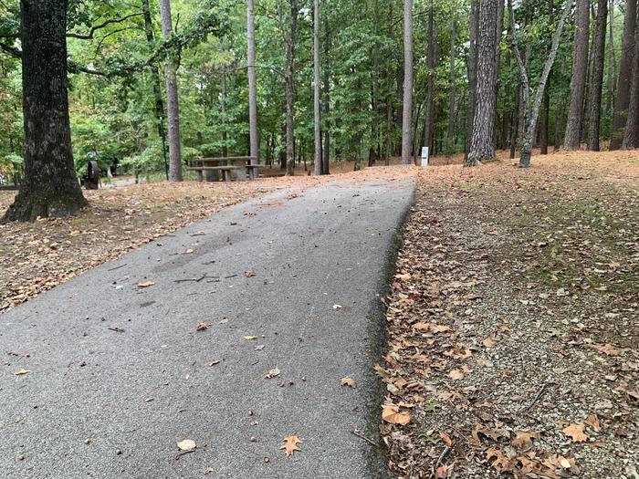  This site has many trees surrounding it, providing lots of shade. The fire pit and picnic table (sitting on a concrete pad) are located on the left side of the paved pad. Hookups are on the right side. 