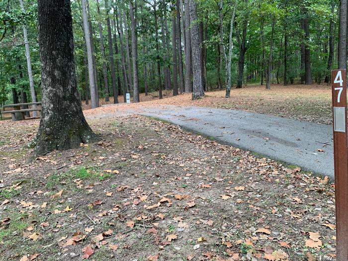  This site has many trees surrounding it, providing lots of shade. The fire pit and picnic table (sitting on a concrete pad) are located on the left side of the paved pad. Hookups are on the right side. 