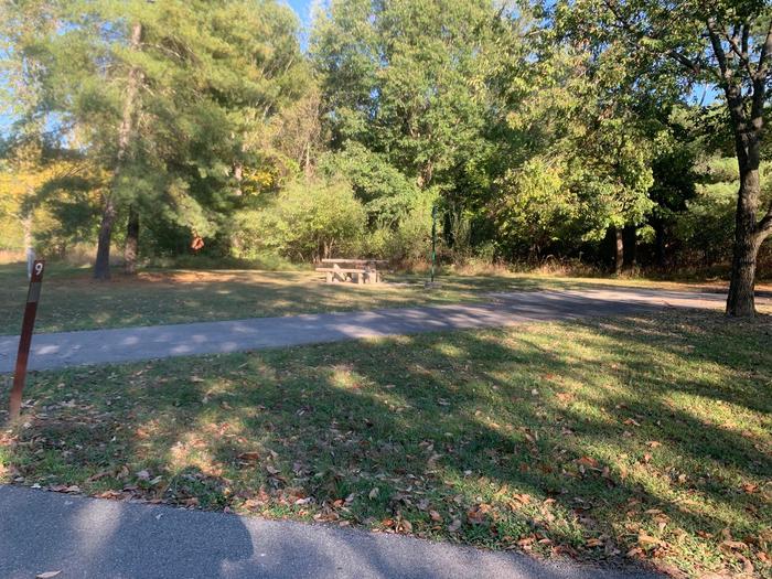 Site 9 has a picnic table and firepit located on the left side of the paved parking pad. Hookups are to the right rear side of the site. There are many trees at the rear of the site and near a comfort station.