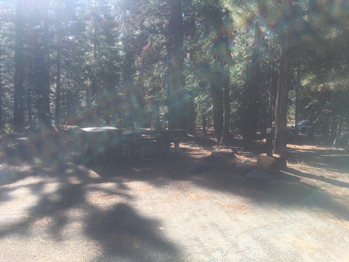 A photo of Site 002 of Loop SILV at Silver Creek with Picnic Table, Fire Pit, Shade, Food Storage, Tent Pad