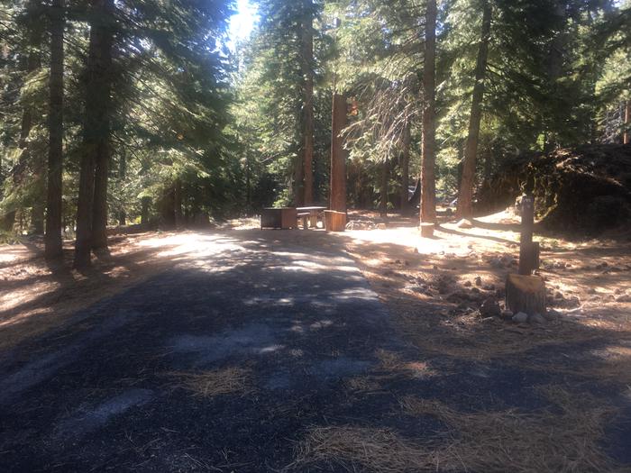 A photo of Site 010 of Loop SILV at Silver Creek with Picnic Table, Fire Pit, Shade, Food Storage, Tent Pad