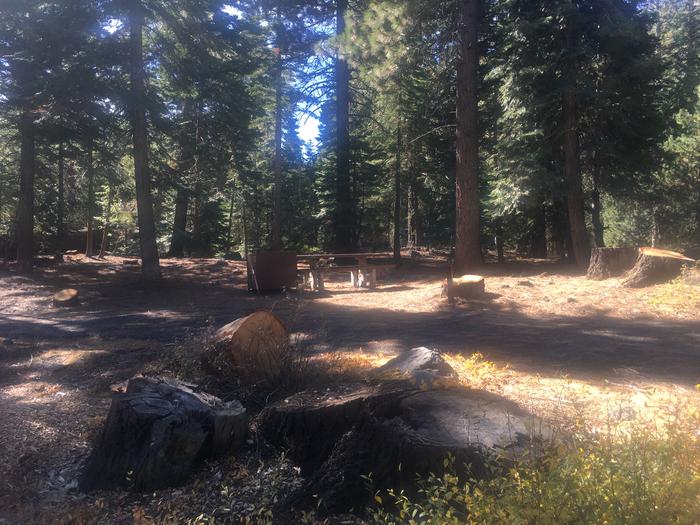 A photo of Site 003 of Loop SILV at Silver Creek with Picnic Table, Fire Pit, Shade, Food Storage, Tent Pad