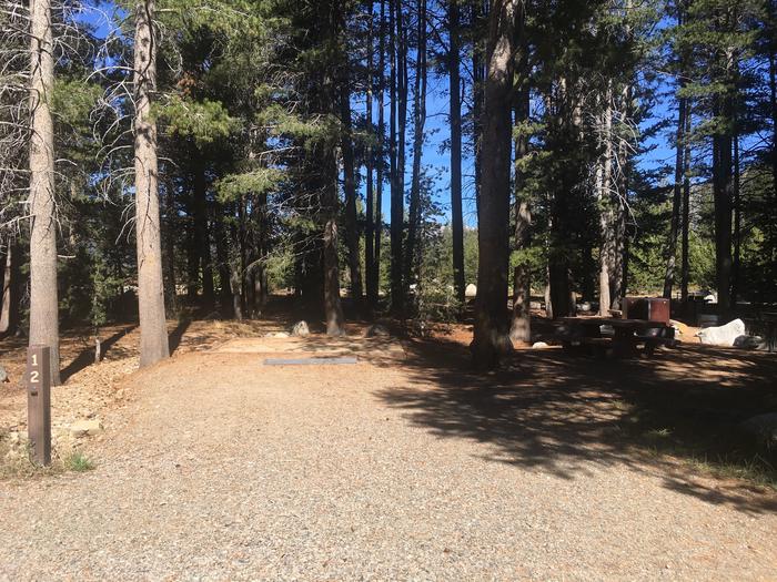 A photo of Site 012 of Loop Loop 1 at HOPE VALLEY with Picnic Table, Fire Pit, Shade, Food Storage, Tent Pad