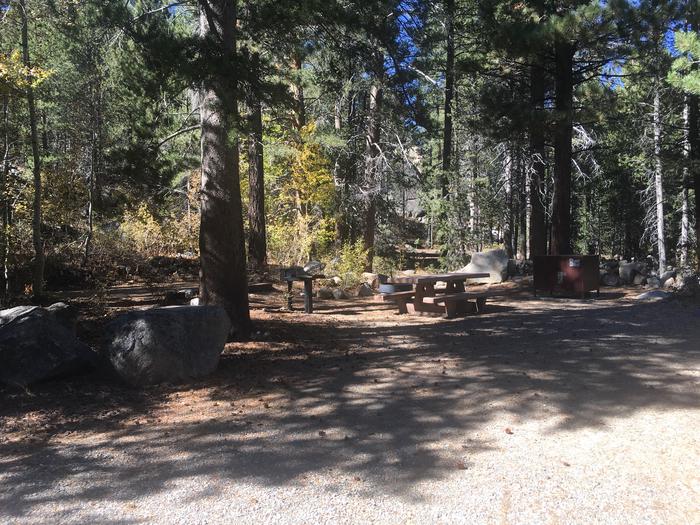 A photo of Site 008 of Loop Loop 1 at HOPE VALLEY with Picnic Table, Fire Pit, Shade, Food Storage, Tent Pad