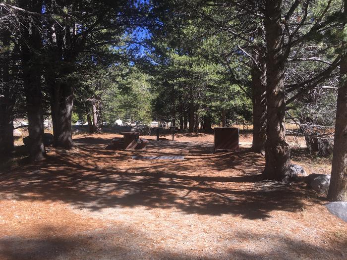 A photo of Site 020 of Loop Loop 2 at HOPE VALLEY with Picnic Table, Fire Pit, Shade, Food Storage, Tent Pad