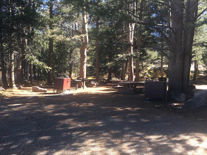 A photo of Site 018 of Loop Loop 2 at HOPE VALLEY with Picnic Table, Fire Pit, Shade, Food Storage, Tent Pad
Double site 
