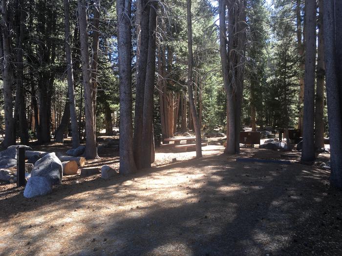 A photo of Site 019 of Loop Loop 2 at HOPE VALLEY with Picnic Table, Fire Pit, Shade, Food Storage, Tent Pad
