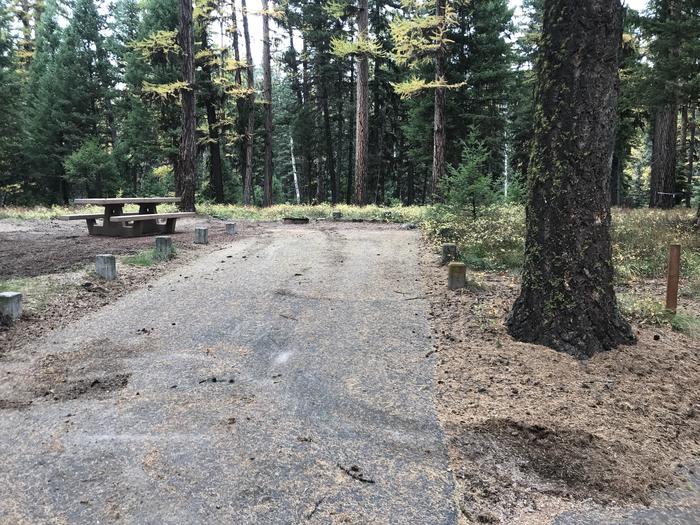 A photo of Site SLS3 in Loop 1 at Seeley Lake Lolo Campground (MT) with picnic table, parking area.