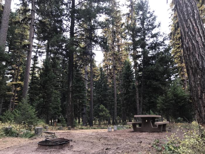 A photo of Site SLS3 in Loop 1 at Seeley Lake Lolo Campground (MT) with picnic table, campfire ring. 