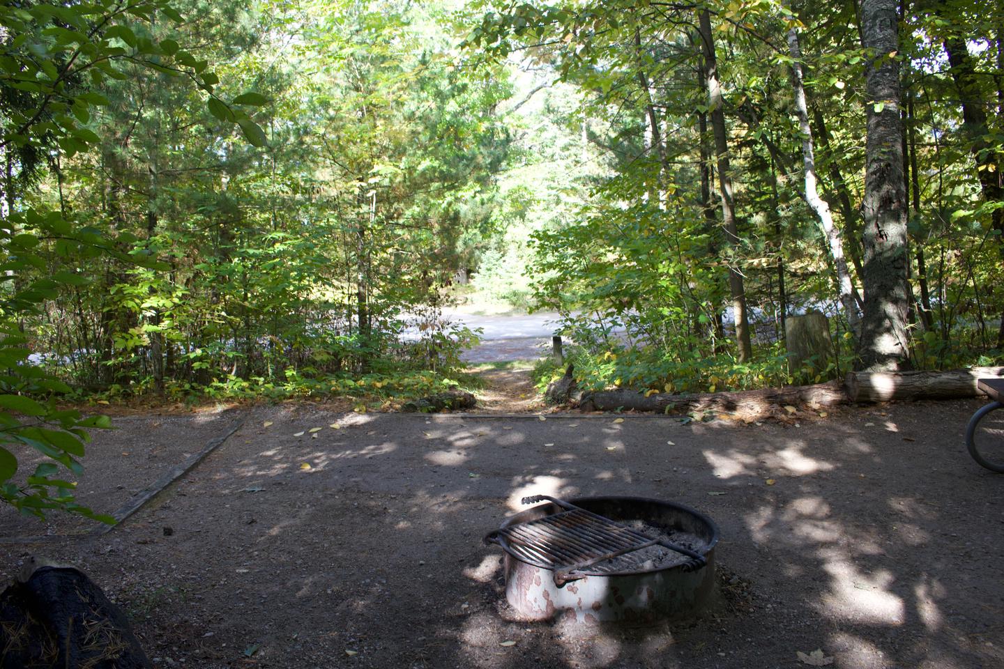Campsite #55, view from the site toward the road