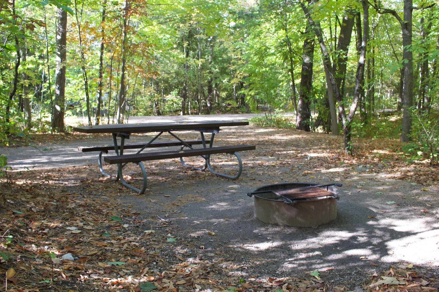 Campsite #67, view from the site toward the text space