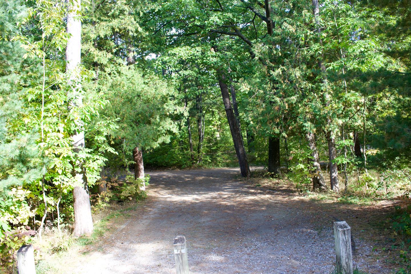 Campsite #71, view from the site toward the road
